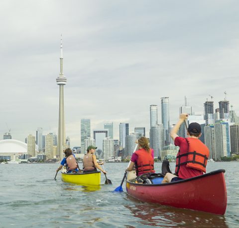 group paddling in harbour with CN Tower before them 480x459