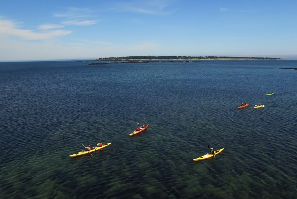 sea kayak east coast discovery