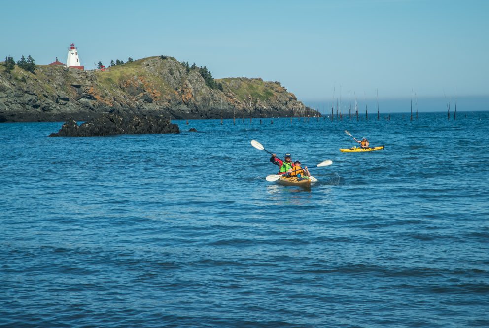 ocean kayaking atlantic fundy 887 1 992x666