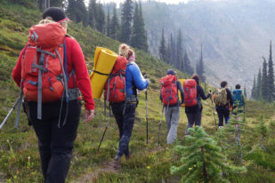 Line of hikers walking through a green meadow with large orange backpacks.
