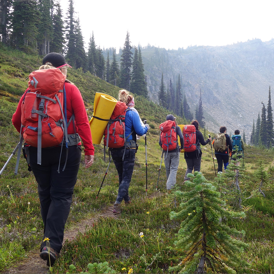 Line of hikers walking through a green meadow with large orange backpacks.