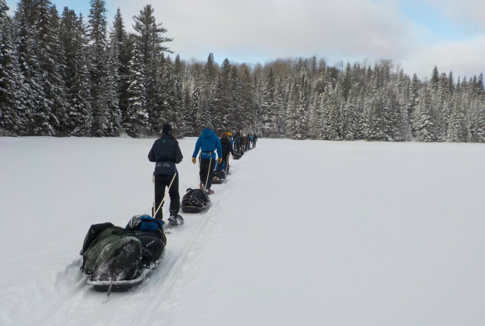 teens snow shoeing in algonquin park with sleds pulling their backpacks